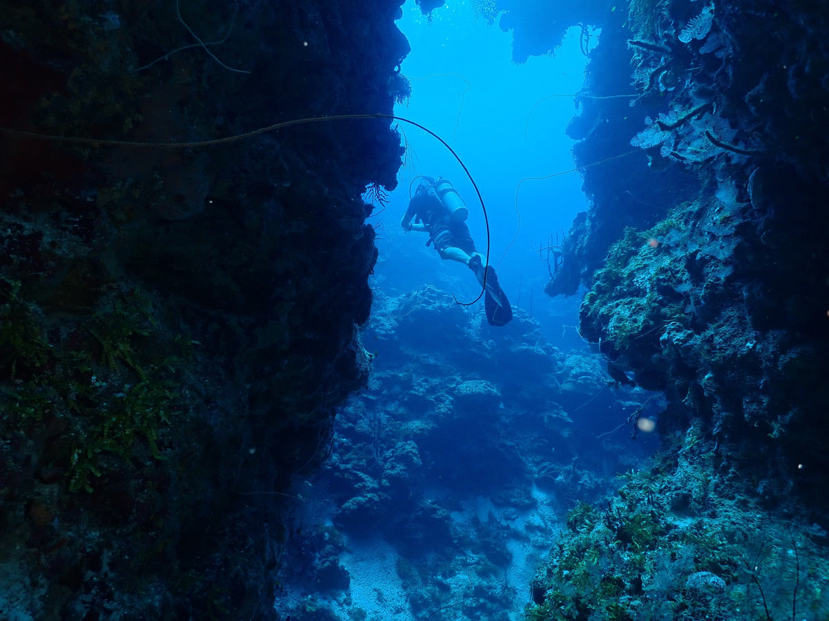 The Swim-Through