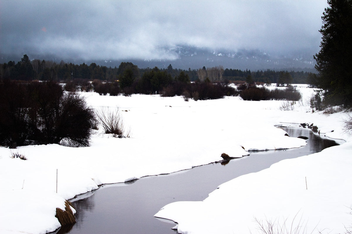 First Snow