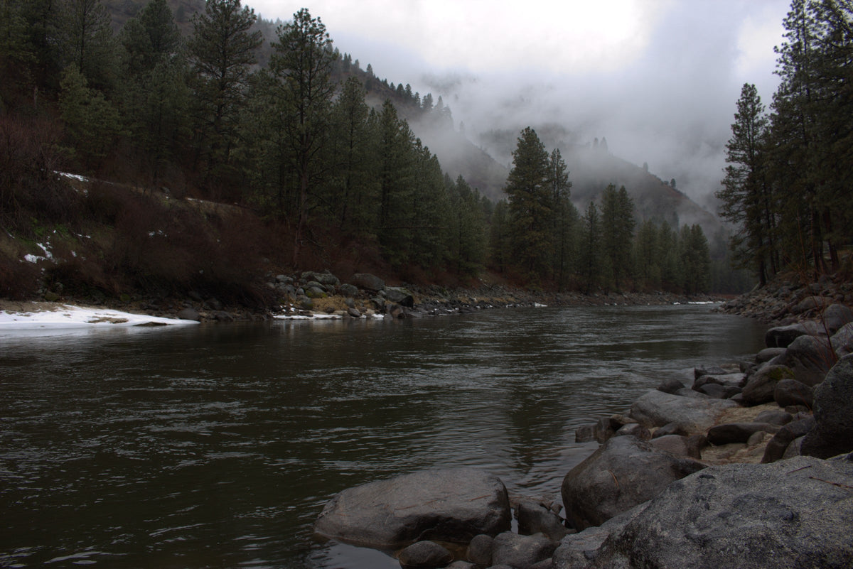 Fog on the River